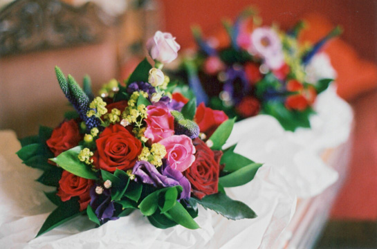 Nicola's flowers