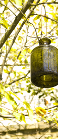 hanging jar